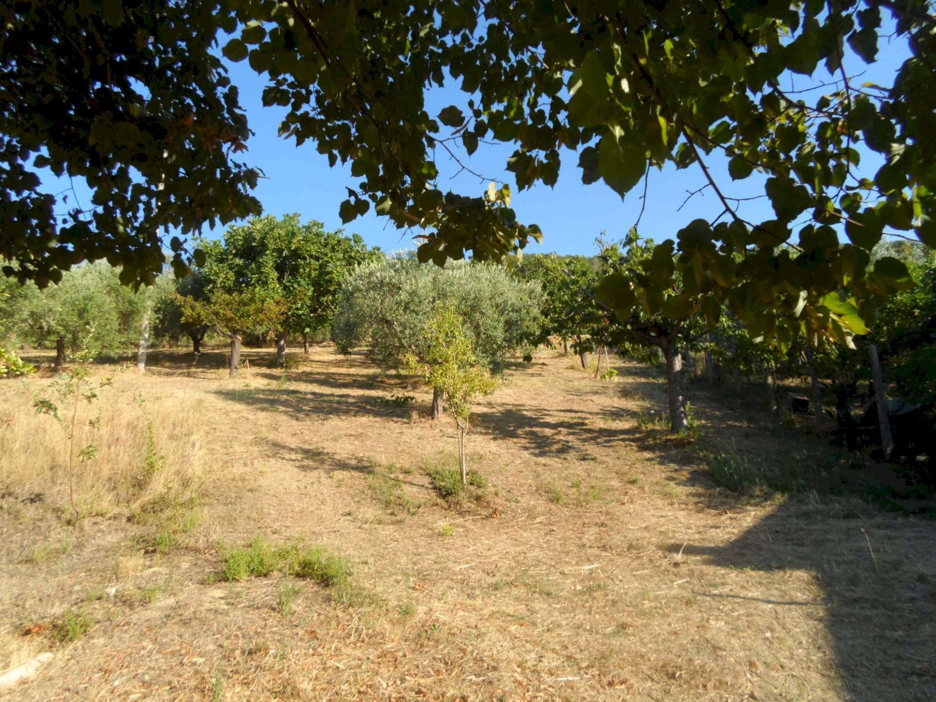 Foto 2 - Terreno edificabile Contrada San Giovanni, Colonnella - foto 2