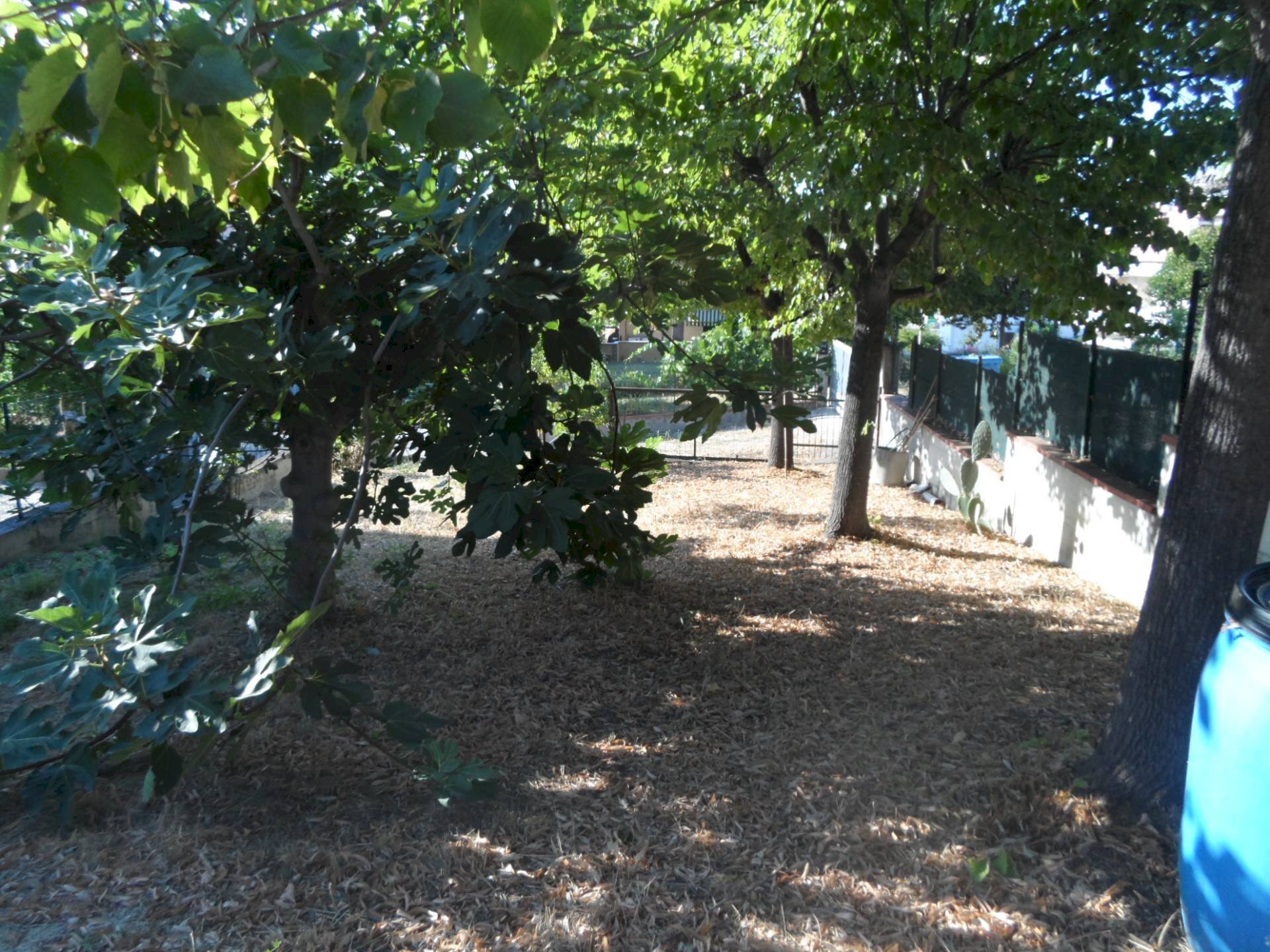 Foto 3 - Terreno edificabile Contrada San Giovanni, Colonnella - foto 3