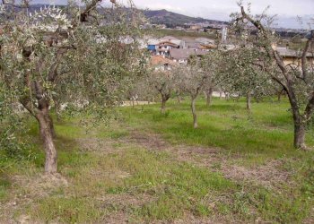 Foto 1 - Terreno edificabile Contrada San Giovanni, Colonnella - foto 1