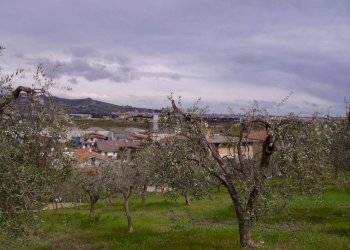 Foto 4 - Terreno edificabile Contrada San Giovanni, Colonnella - foto 4