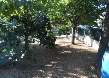 Foto 3 - Terreno edificabile Contrada San Giovanni, Colonnella - foto 3