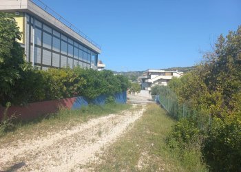 Foto 8 - Capannone Via Buonarroti, Acquaviva Picena - foto 8