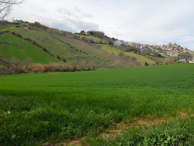 Foto 3 - Rustico Contrada San Martino, Colonnella - foto 3