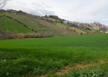 Foto 3 - Rustico Contrada San Martino, Colonnella - foto 3