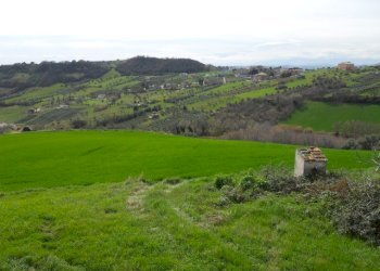 Foto 12 - Rustico Contrada San Martino, Colonnella - foto 10