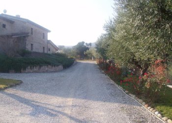 Foto 6 - Villa Via del semaforo, Martinsicuro - foto 6