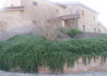 Foto 9 - Villa Via del semaforo, Martinsicuro - foto 9