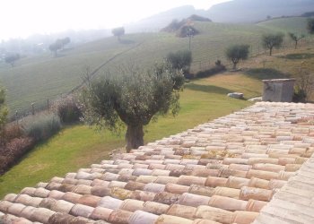 Foto 23 - Villa Via del semaforo, Martinsicuro - foto 23