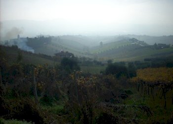 Foto 5 - Rustic Via Borgo da monte, Monteprandone - photo 5