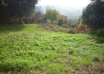 Foto 7 - Rustic Via Borgo da monte, Monteprandone - photo 7