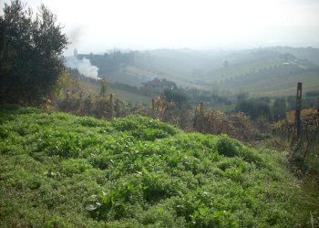 Foto 8 - Rustic Via Borgo da monte, Monteprandone - photo 8