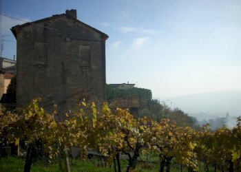 Foto 16 - Rustic Via Borgo da monte, Monteprandone - photo 16