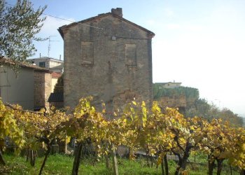 Foto 17 - Rustic Via Borgo da monte, Monteprandone - photo 17