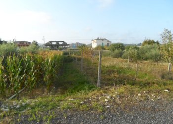 Foto 1 - Terreno edificabile Via Circonvallazione Sud, Monteprandone - foto 1