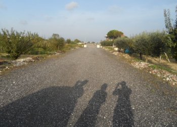 Foto 3 - Terreno edificabile Via Circonvallazione Sud, Monteprandone - foto 3