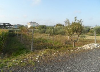 Foto 4 - Terreno edificabile Via Circonvallazione Sud, Monteprandone - foto 4