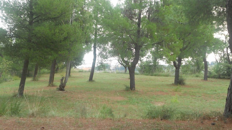 Foto 1 - Terreno edificabile Contrada Santa Giuliana, Massignano - foto 1