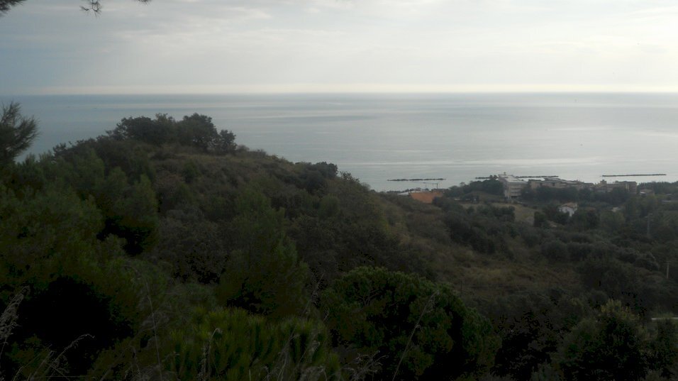 Foto 3 - Terreno edificabile Contrada Santa Giuliana, Massignano - foto 3