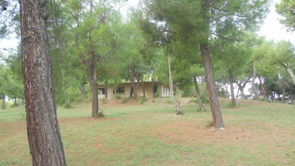 Foto 3 - Terreno edificabile Contrada Santa Giuliana, Massignano - foto 3