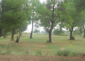 Foto 1 - Terreno edificabile Contrada Santa Giuliana, Massignano - foto 1