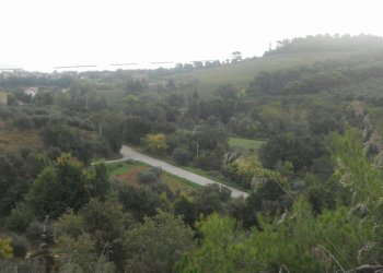 Foto 2 - Terreno edificabile Contrada Santa Giuliana, Massignano - foto 2