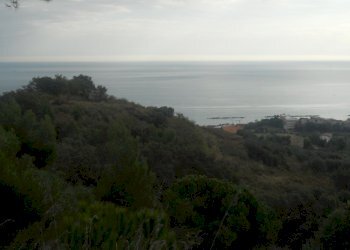 Foto 3 - Terreno edificabile Contrada Santa Giuliana, Massignano - foto 3