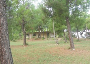 Foto 5 - Terreno edificabile Contrada Santa Giuliana, Massignano - foto 5