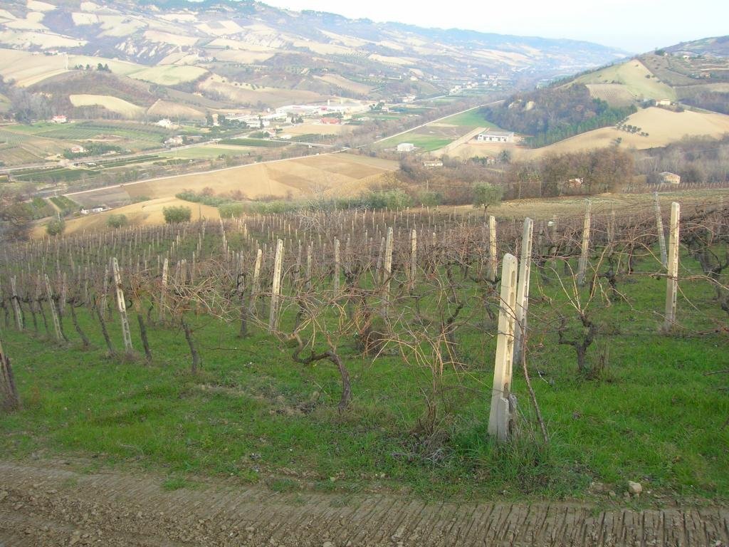 Foto 2 - Casa indipendente San Savino di Ripatransone, Ripatransone - foto 2