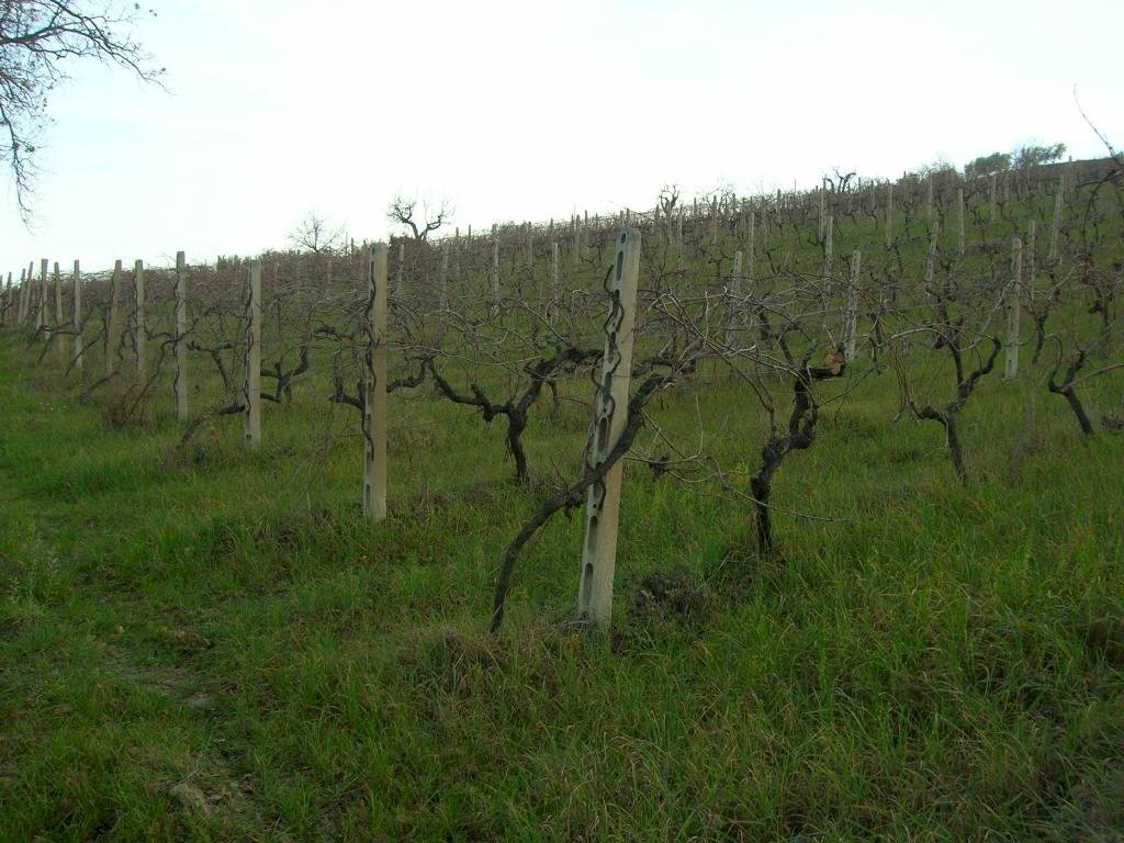 Foto 2 - Casa indipendente San Savino di Ripatransone, Ripatransone - foto 2