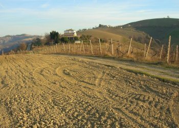 Foto 10 - Casa indipendente San Savino di Ripatransone, Ripatransone - foto 8