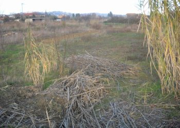 Foto 4 - Terreno edificabile Spinetoli - foto 4