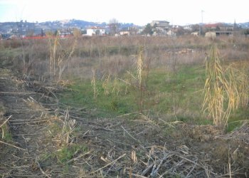 Foto 5 - Terreno edificabile Spinetoli - foto 5