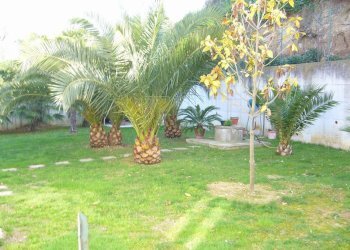 Foto 9 - Casa indipendente della resistenza, Acquaviva Picena - foto 9