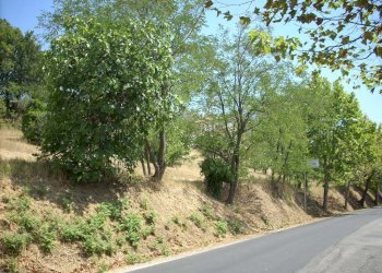 Foto 1 - Terreno edificabile Contrada Giardino, Colonnella - foto 1