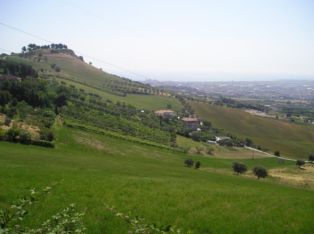 Foto 2 - Terreno agricolo Contrada Montecretaccio, Monteprandone - foto 2