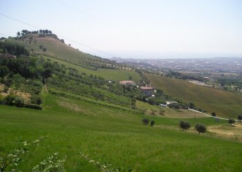 Foto 2 - Agricultural land Contrada Montecretaccio, Monteprandone - photo 2