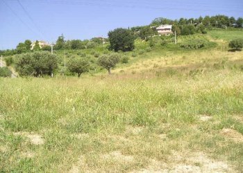 Foto 3 - Agricultural land Contrada Montecretaccio, Monteprandone - photo 3