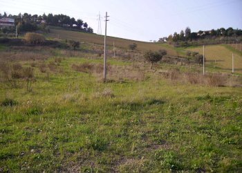 Foto 4 - Agricultural land Contrada Montecretaccio, Monteprandone - photo 4