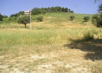 Foto 6 - Agricultural land Contrada Montecretaccio, Monteprandone - photo 6