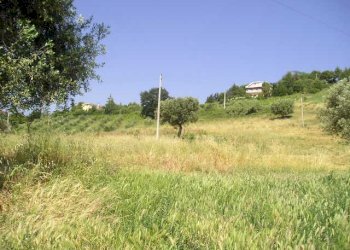 Foto 7 - Agricultural land Contrada Montecretaccio, Monteprandone - photo 7