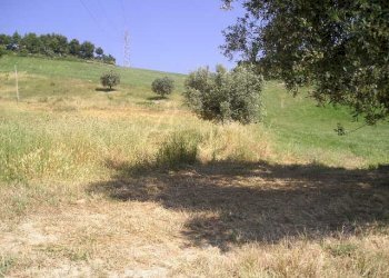 Foto 8 - Agricultural land Contrada Montecretaccio, Monteprandone - photo 8