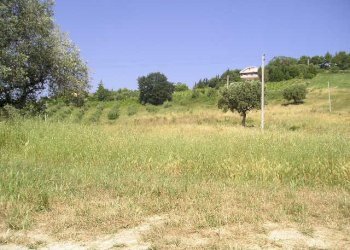 Foto 9 - Agricultural land Contrada Montecretaccio, Monteprandone - photo 9