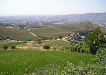 Foto 10 - Agricultural land Contrada Montecretaccio, Monteprandone - photo 10