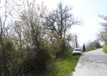 Foto 6 - Agricultural land Contrada Forola, Acquaviva Picena - photo 6