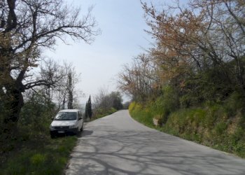 Foto 7 - Agricultural land Contrada Forola, Acquaviva Picena - photo 7