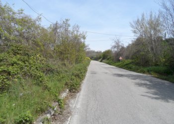 Foto 9 - Agricultural land Contrada Forola, Acquaviva Picena - photo 8