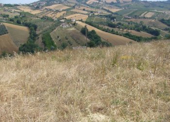 Foto 3 - Rustic Contrada Pignotto, Controguerra - photo 3