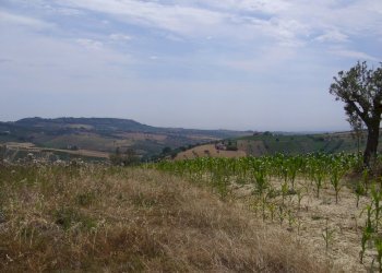 Foto 4 - Rustic Contrada Pignotto, Controguerra - photo 4