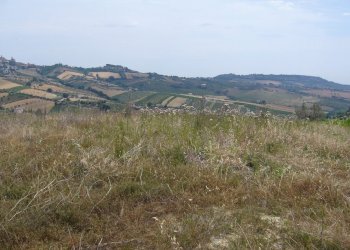 Foto 5 - Rustic Contrada Pignotto, Controguerra - photo 5