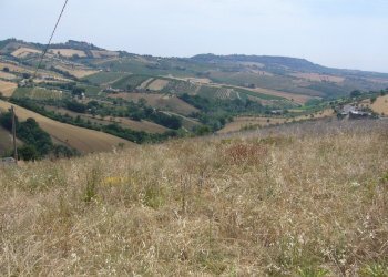 Foto 7 - Rustic Contrada Pignotto, Controguerra - photo 7